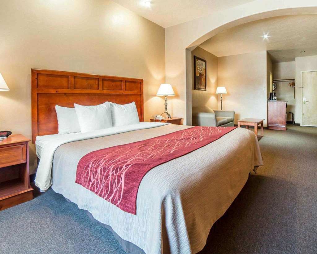 Comfort Inn At Convention Center Saint George Camera foto